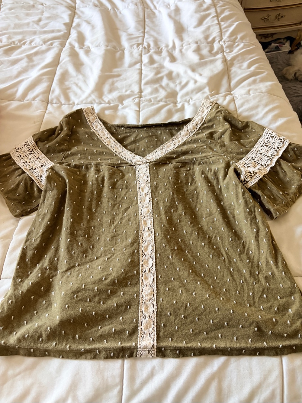 Anthropologie Olive Green Swiss Dot Lace-Trim V-Neck Top